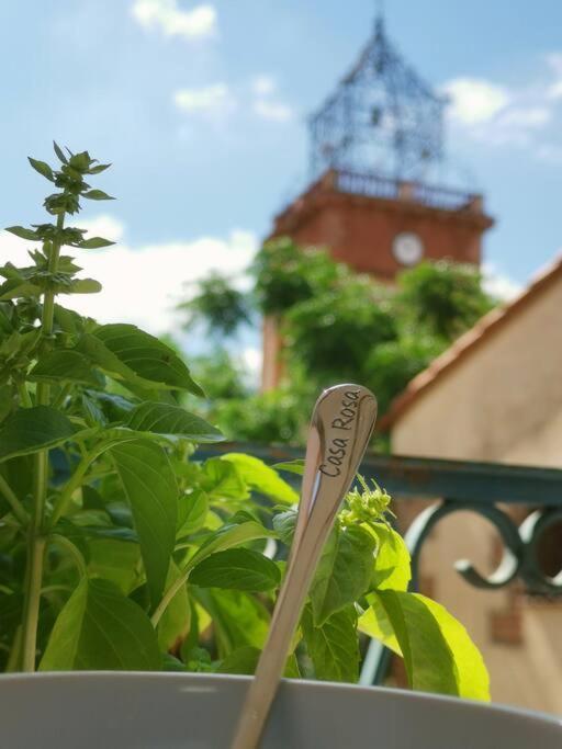 Ferienhaus Casa Rosa, Un Petit Cocon Catalan